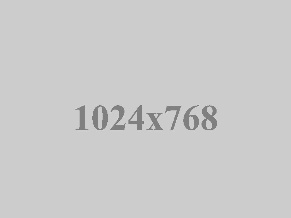 image-gallery17