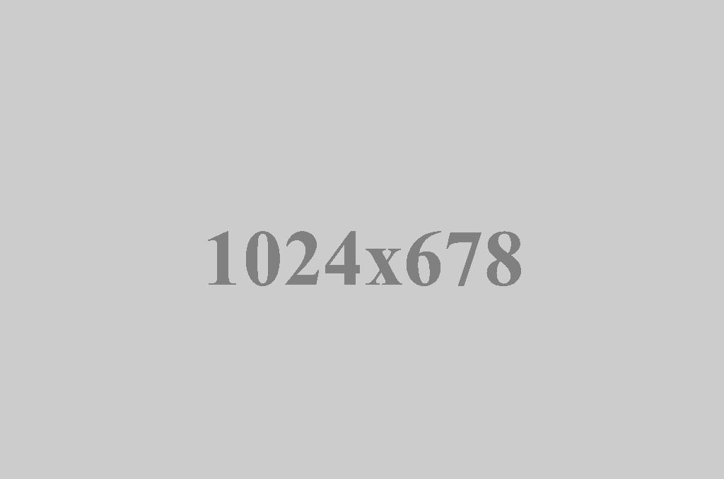 image-gallery19