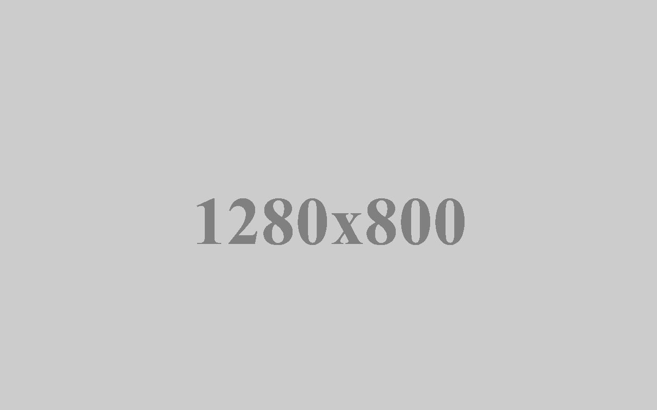 image-gallery14